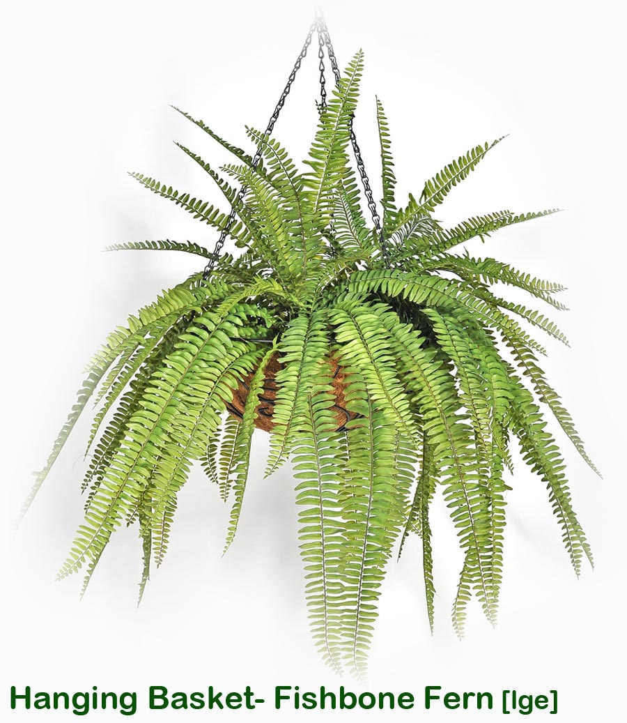 Hanging Baskets- Artificial Ferns (large)