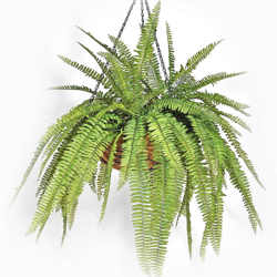 Hanging Baskets- Ferns (small) - artificial plants, flowers & trees - image 6