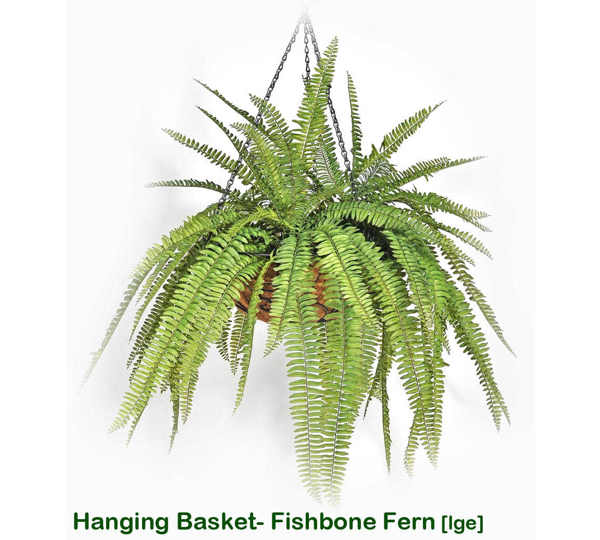 Hanging Baskets- Artificial Ferns (large)
