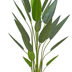 Bird of Paradise Plant 1.4m - artificial plants, flowers & trees - image 10