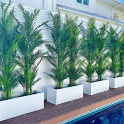 Alexander Palm 2.1m UV-treated   - artificial plants, flowers & trees - image 4