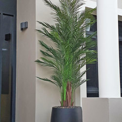 Alexander Palm 2.1m UV-treated   - artificial plants, flowers & trees - image 1