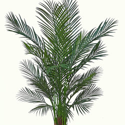 Alexander Palm 1.2m UV-treated - artificial plants, flowers & trees - image 8