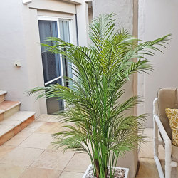 Alexander Palm 2.1m UV-treated   - artificial plants, flowers & trees - image 3