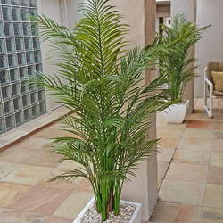 Alexander Palm 1.6m UV-treated - artificial plants, flowers & trees - image 4