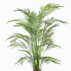 Alexander Palm 1.2m UV-treated - artificial plants, flowers & trees - image 9