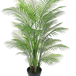 Alexander Palm 1.6m UV-treated - artificial plants, flowers & trees - image 9