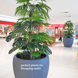 Fan Palm 2.4m [lge foliage] - artificial plants, flowers & trees - image 5