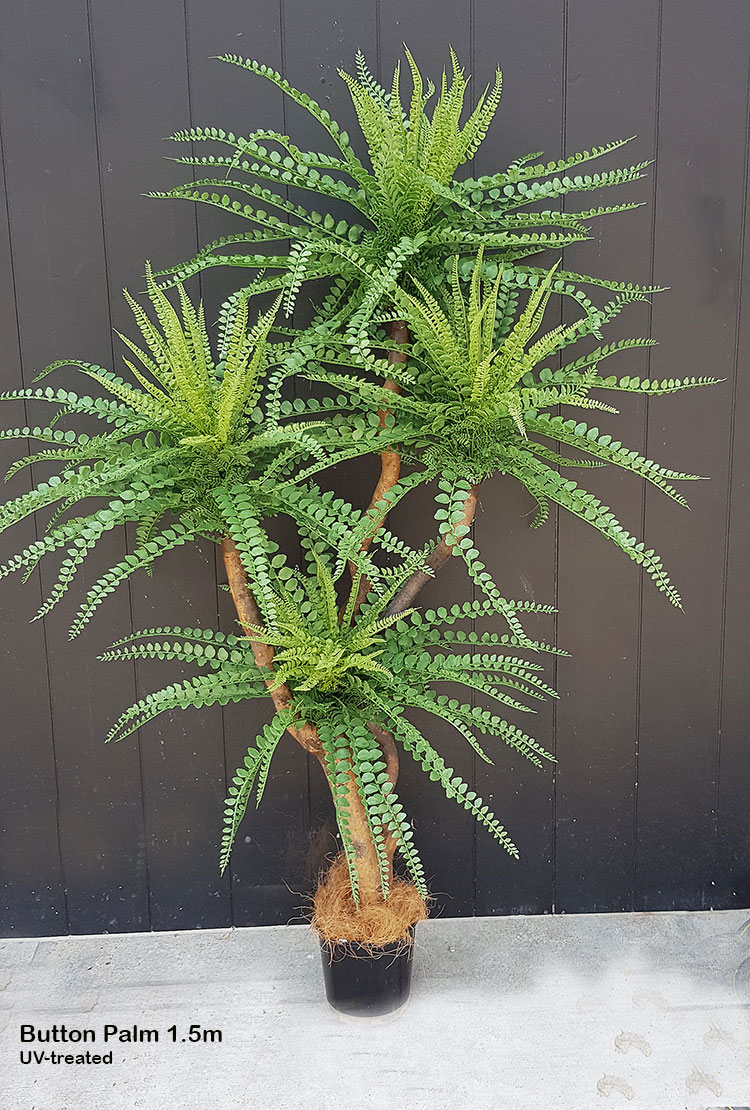 Button Palm 1.5m x 4 heads