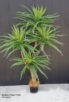 Button Palm 1.5m x 4 heads