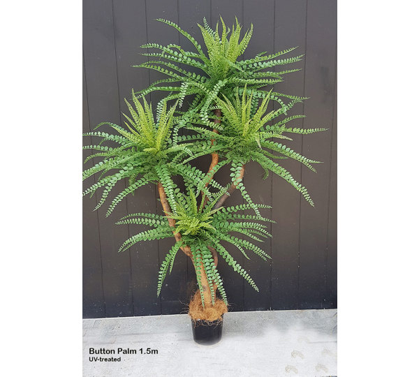 Button Palm 1.2m x 3 heads sml