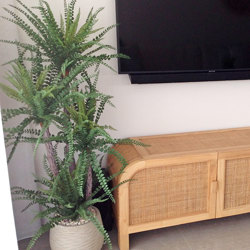 Button Palm 1.5m x 4 heads - artificial plants, flowers & trees - image 5