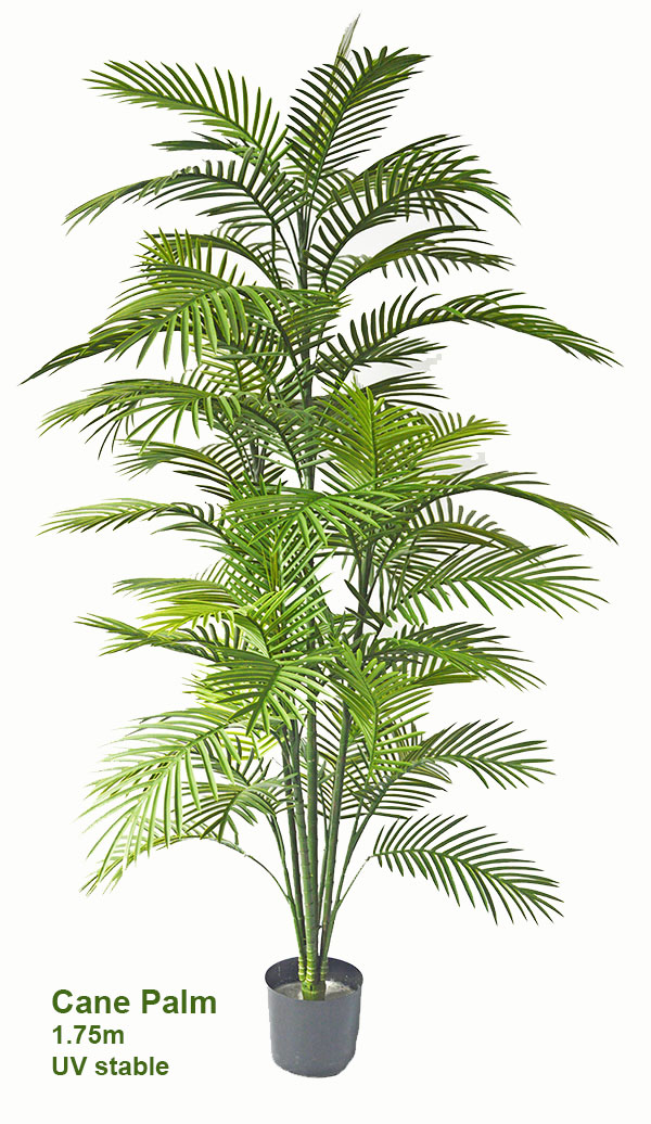 Cane Palm 1.8m deluxe   UV-stable