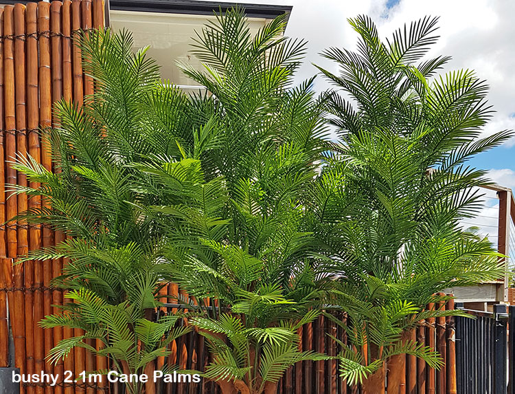 Cane Palm 1.8m deluxe*     UV-stable *extra bushy