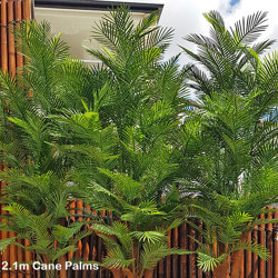 Cane Palm 1.8m deluxe*     UV-stable *extra bushy - artificial plants, flowers & trees - image 7