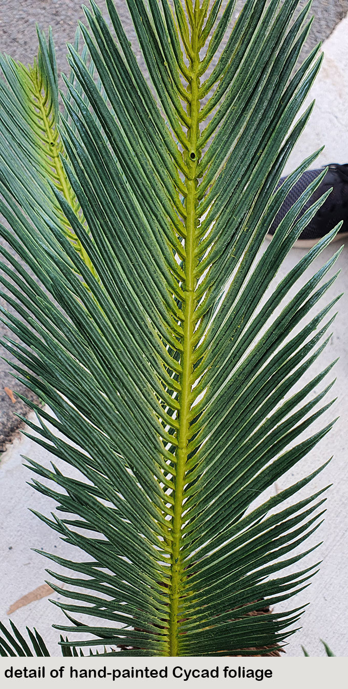 Cycas Palm 1.2m