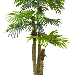 Fan Palm 2.4m [lge foliage] - artificial plants, flowers & trees - image 6