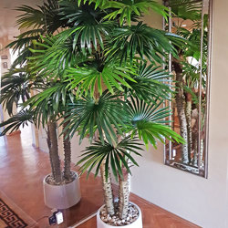 Fan Palm 2.4m [lge foliage] - artificial plants, flowers & trees - image 2