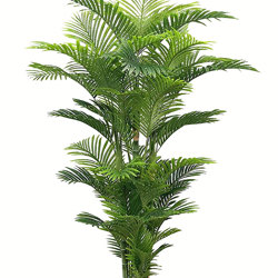 Golden Cane Palm 2.1m - artificial plants, flowers & trees - image 7