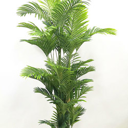 Golden Cane Palm 1.8m - artificial plants, flowers & trees - image 7