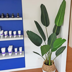 Heliconia Palms- 1.2m small - artificial plants, flowers & trees - image 2