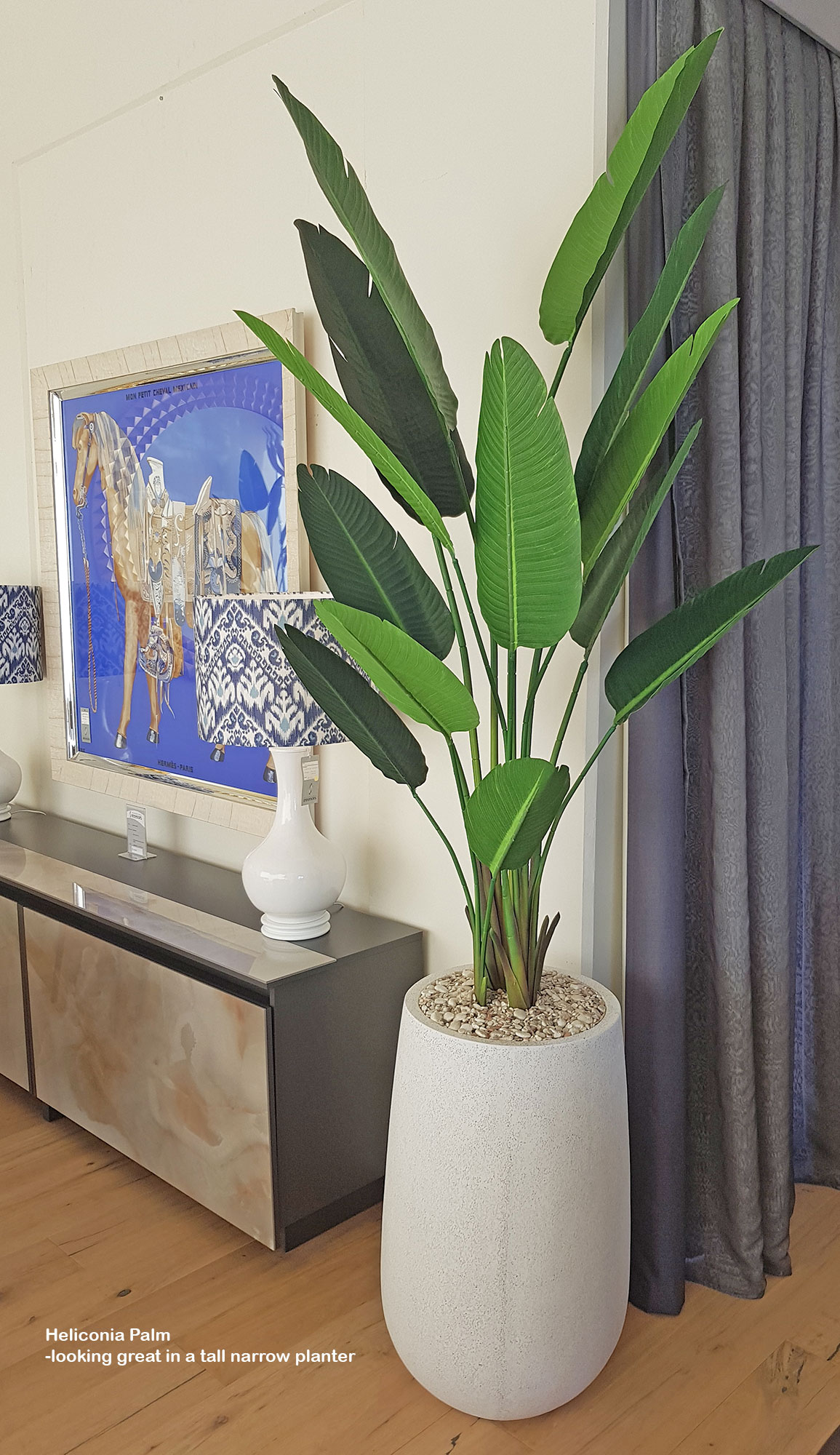Heliconia Palms- 1.5m