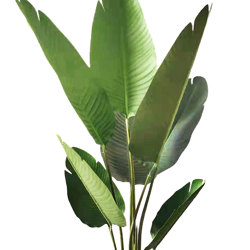 Heliconia Palms- 1.2m small - artificial plants, flowers & trees - image 5