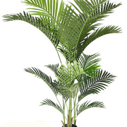 Kentia Palms 1.7m - artificial plants, flowers & trees - image 8