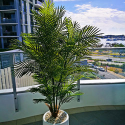Cane Palm 1.8m deluxe*     UV-stable *extra bushy - artificial plants, flowers & trees - image 3