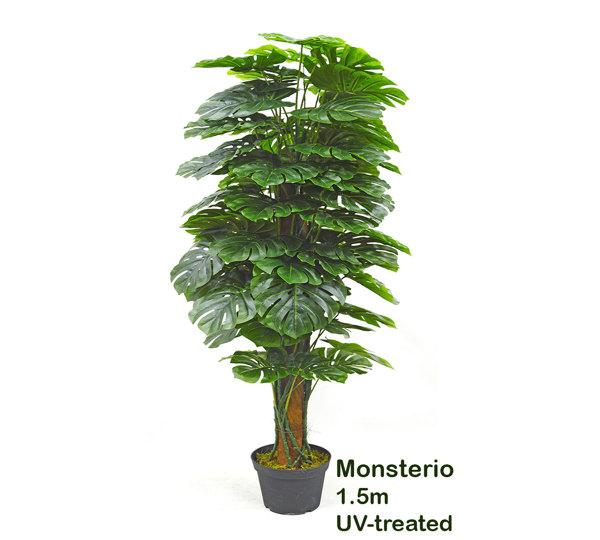 Monsterio UV-treated 1.5m