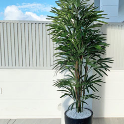 Rhapis Palms 1.3m - artificial plants, flowers & trees - image 4