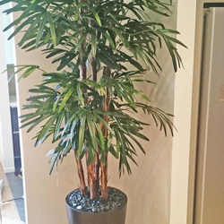 Rhapis Palms 1.3m - artificial plants, flowers & trees - image 5