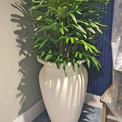 Rhapis Palms 1.5m - artificial plants, flowers & trees - image 3