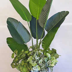 Heliconia Palms- 1.2m small - artificial plants, flowers & trees - image 1
