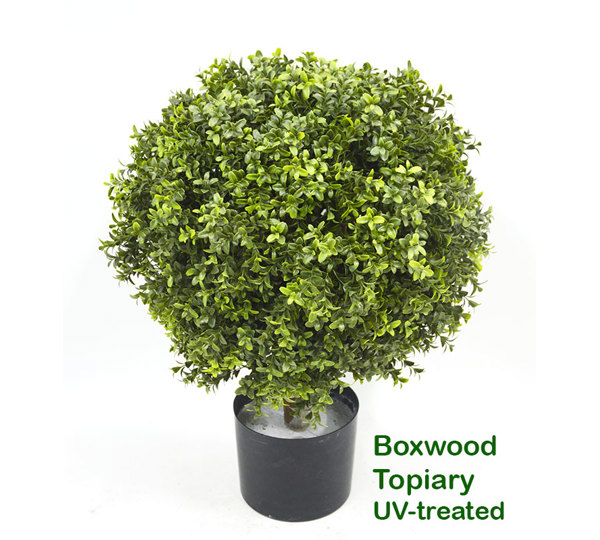 Boxwood Topiary 55cm UV