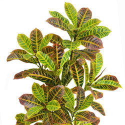 Croton 90cm - artificial plants, flowers & trees - image 3