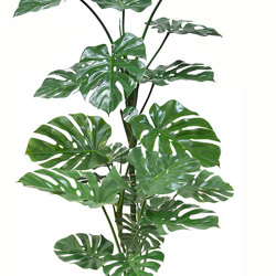 Monstera 'giant leaf' 1.9m deluxe - artificial plants, flowers & trees - image 2