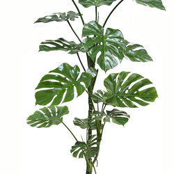 Monstera 'giant leaf' 1.8m - artificial plants, flowers & trees - image 3