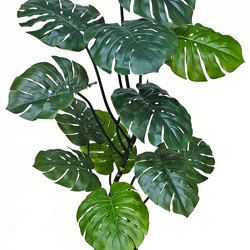 Swiss Cheese Plant [Monstera] 1.7m - artificial plants, flowers & trees - image 7