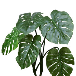 Swiss Cheese Plant [Monstera] 1m  - artificial plants, flowers & trees - image 2