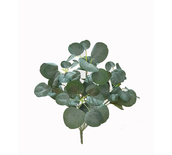 Small Bush- Grey Eucalypt