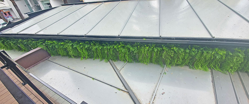 UV-Trailer: Ruscus Fern 70cm