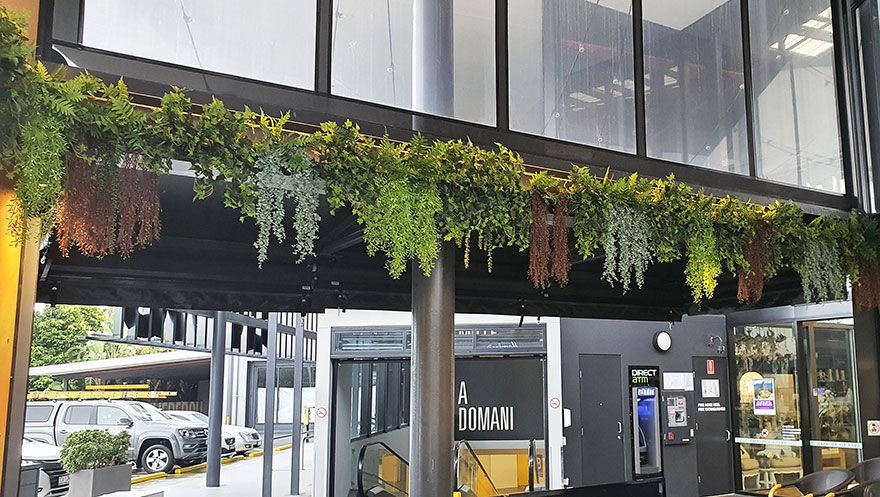 UV-Trailer: Ruscus Fern 70cm
