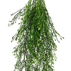 UV-Trailer: Casuarina 'cousin It' plant 70cm - artificial plants, flowers & trees - image 9