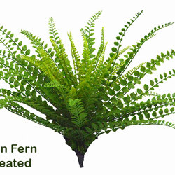 Button Fern UV-treated - artificial plants, flowers & trees - image 5