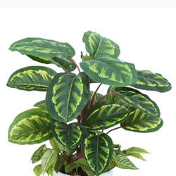 Greenery Bowls- Calatheas - artificial plants, flowers & trees - image 1