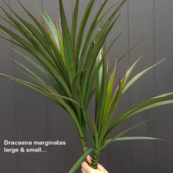Yuccas- UV-stable...small - artificial plants, flowers & trees - image 2