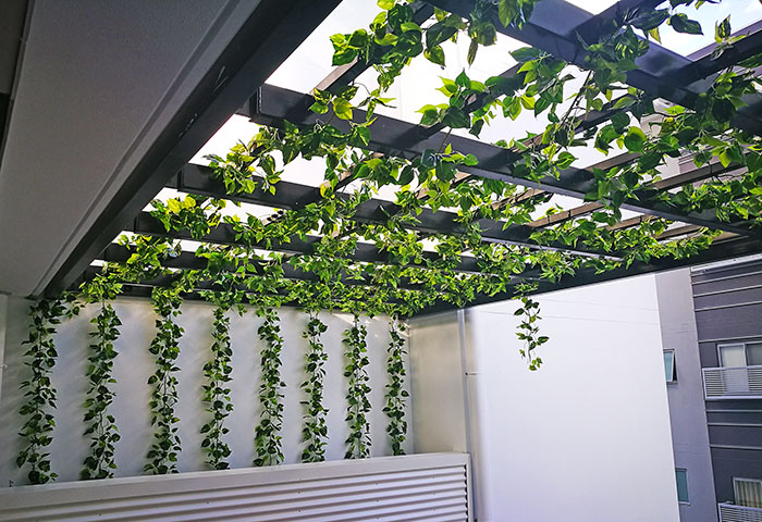 Trailing Vines - 1.8m Philo Garland [philodendron]