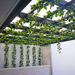 Trailing Vines - 1.8m Philo Garland [philodendron] - artificial plants, flowers & trees - image 3
