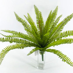 Fish-bone Ferns [large] - artificial plants, flowers & trees - image 4